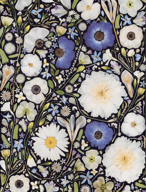 Sample content 5_Beautiful Blooms Wrapping Paper Book