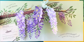 Sample content 2_Beautiful Bugs