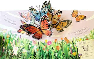 Sample content 3_Beautiful Bugs