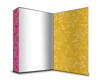 Aperçu du contenu_Beautiful Things: Deluxe Limited Edition