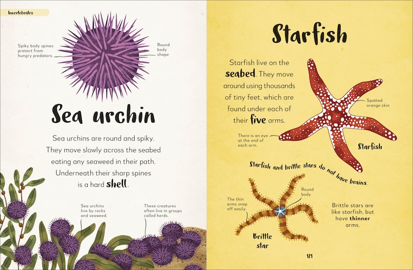 Aper&ccedil;u du contenu 2_Bedtime Books