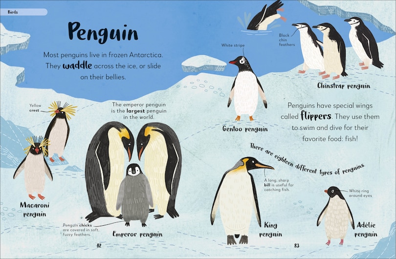 Aper&ccedil;u du contenu 5_Bedtime Books