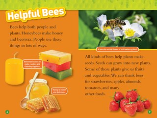 Aperçu du contenu 2_Bees (National Geographic Kids Readers, Level 2)