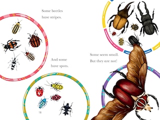 Aper&ccedil;u du contenu 4_Beetle Mania