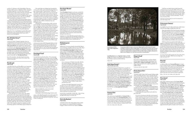 Sample content_Before New York