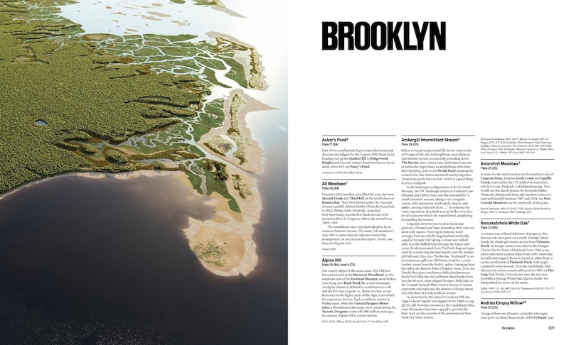 Sample content 3_Before New York