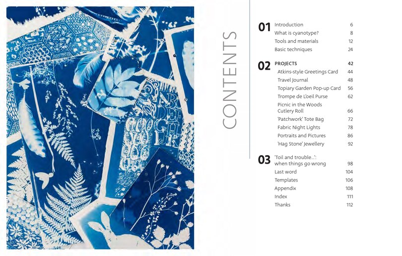Sample content_Beginner’s Guide to Cyanotype