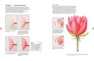Sample content 3_Beginner's Guide To Botanical Flower Painting