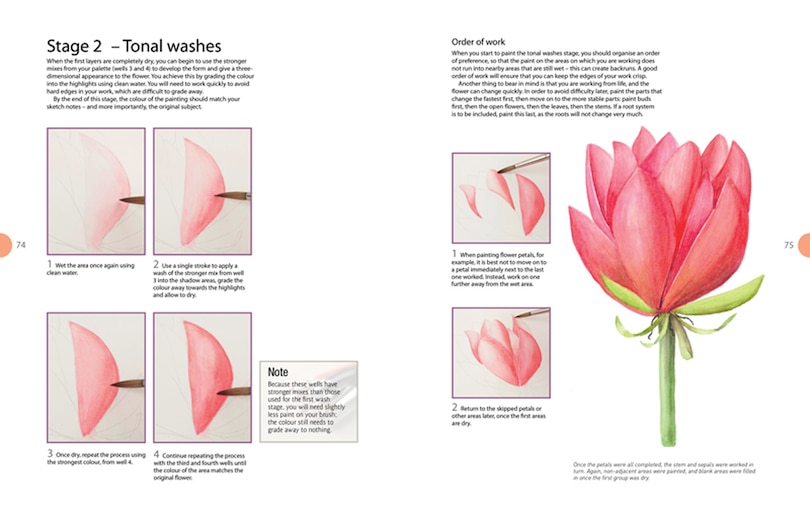 Sample content 3_Beginner's Guide To Botanical Flower Painting