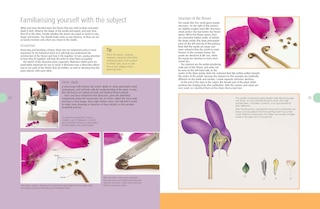 Sample content 4_Beginner's Guide To Botanical Flower Painting