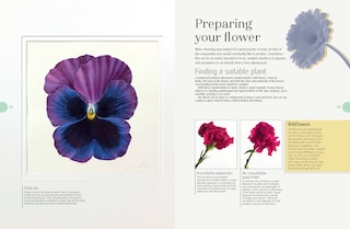 Sample content 5_Beginner's Guide To Botanical Flower Painting