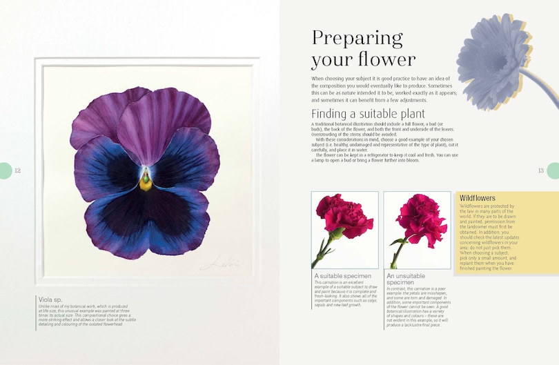 Sample content 5_Beginner's Guide To Botanical Flower Painting