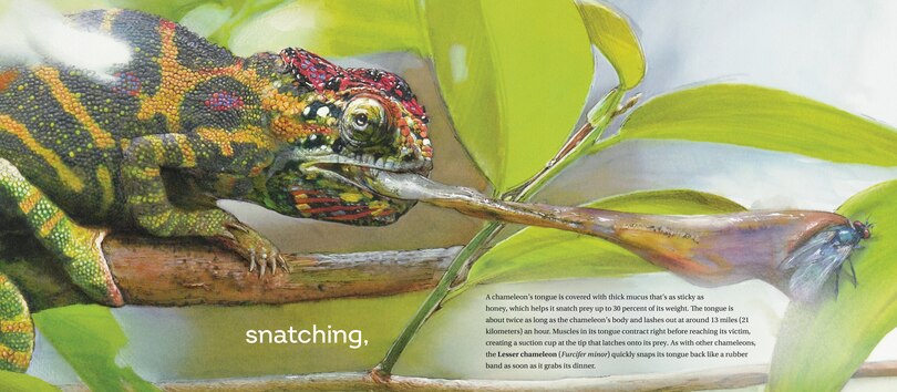 Sample content_Behold the Chameleon