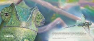 Sample content 2_Behold the Chameleon