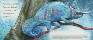 Sample content 3_Behold the Chameleon