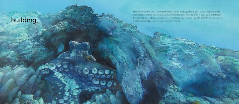 Aper&ccedil;u du contenu_Behold the Octopus!