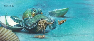 Aper&ccedil;u du contenu 2_Behold the Octopus!