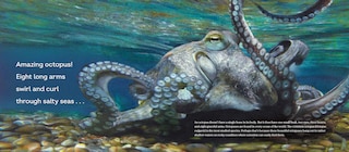 Aper&ccedil;u du contenu 3_Behold the Octopus!