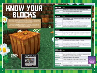 Sample content_Best Ever Guide to Minecraft