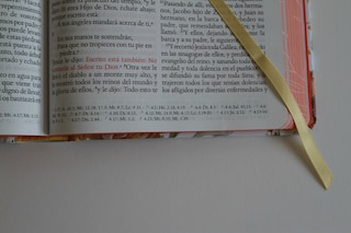 Sample content 2_Biblia RVR 1960 letra grande tamaño manual, HC, flores rosadas y cantos pintados /  Spanish Bible RVR 1960 Handy Size Large Print with flowers and sprayed edge