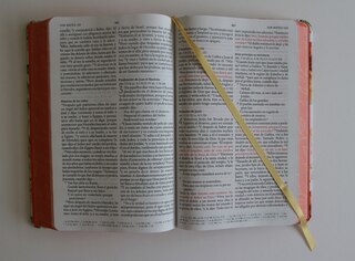 Sample content 5_Biblia RVR 1960 letra grande tamaño manual, HC, flores rosadas y cantos pintados /  Spanish Bible RVR 1960 Handy Size Large Print with flowers and sprayed edge