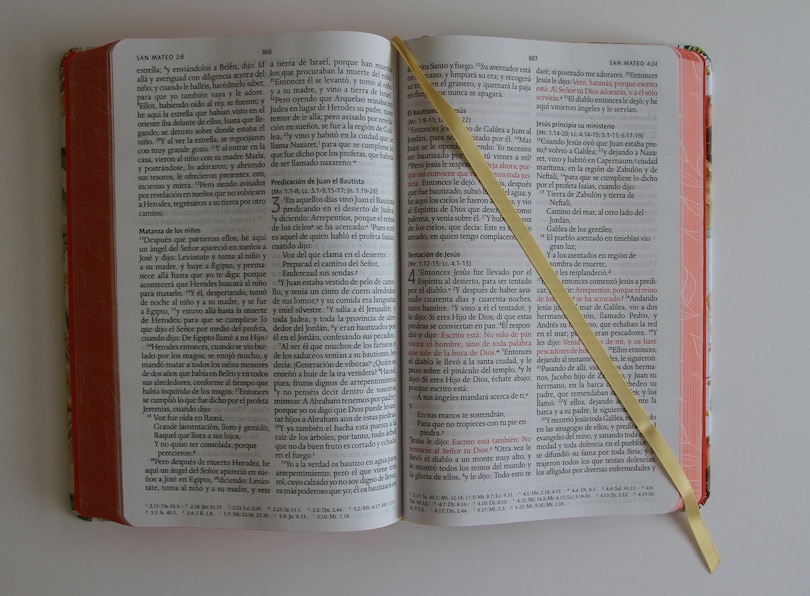 Sample content 5_Biblia RVR 1960 letra grande tamaño manual, HC, flores rosadas y cantos pintados /  Spanish Bible RVR 1960 Handy Size Large Print with flowers and sprayed edge
