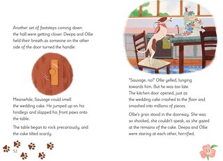 Aper&ccedil;u du contenu 3_Big Cat for Little Wandle Fluency