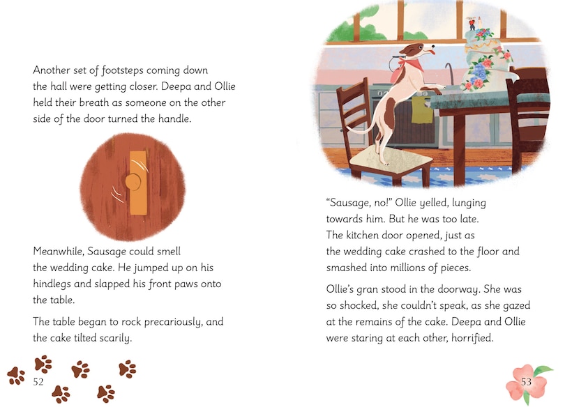 Aper&ccedil;u du contenu 3_Big Cat for Little Wandle Fluency