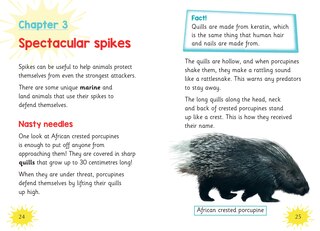 Aper&ccedil;u du contenu 2_Big Cat for Little Wandle Fluency