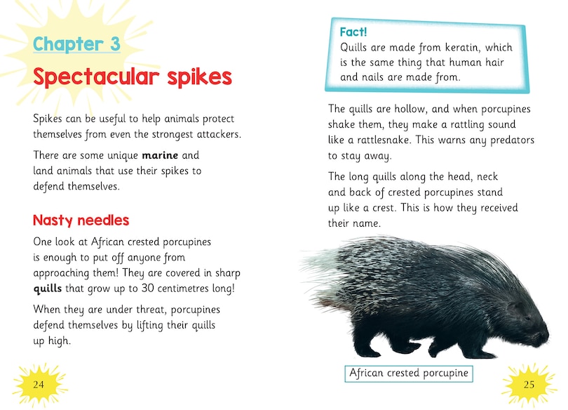 Aper&ccedil;u du contenu 2_Big Cat for Little Wandle Fluency