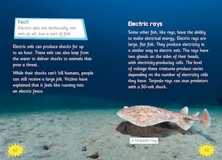 Aper&ccedil;u du contenu 3_Big Cat for Little Wandle Fluency