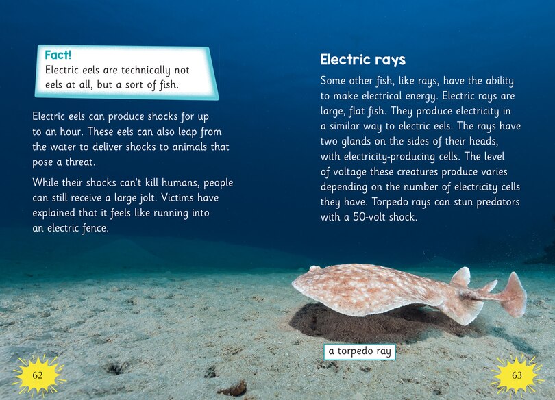 Aper&ccedil;u du contenu 3_Big Cat for Little Wandle Fluency