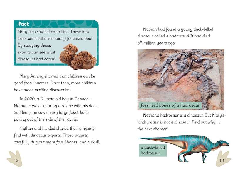 Sample content 2_Big Cat for Little Wandle Fluency