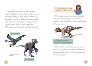 Sample content 3_Big Cat for Little Wandle Fluency