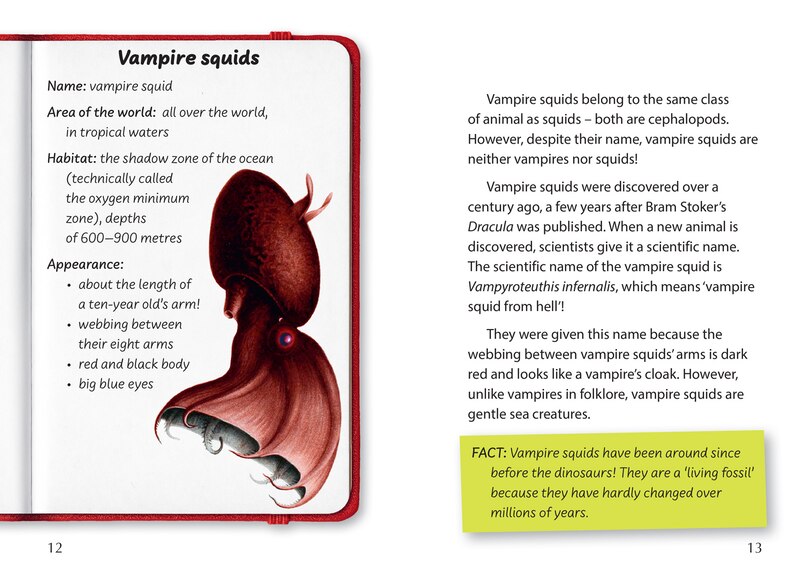 Sample content_Big Cat for Little Wandle Fluency