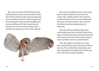 Sample content 2_Big Cat for Little Wandle Fluency