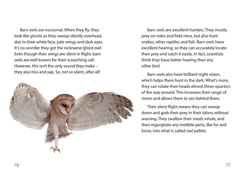 Sample content 2_Big Cat for Little Wandle Fluency