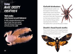 Sample content 3_Big Cat for Little Wandle Fluency