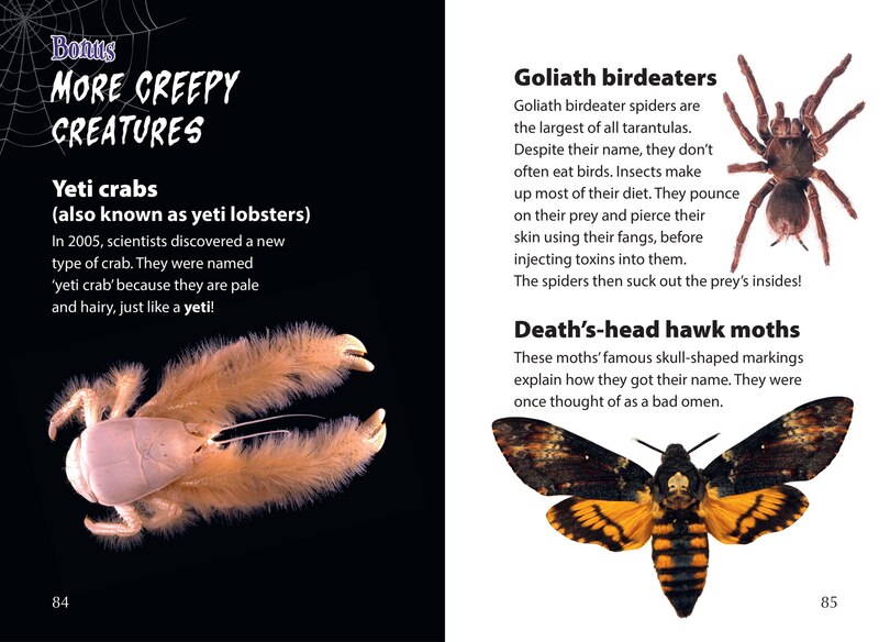 Sample content 3_Big Cat for Little Wandle Fluency