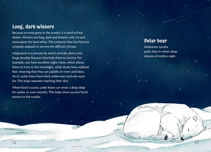 Aperçu du contenu_Big Cat for Little Wandle Fluency