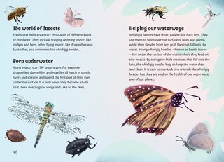 Aperçu du contenu 2_Big Cat for Little Wandle Fluency