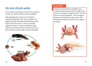 Sample content_Big Cat for Little Wandle Fluency