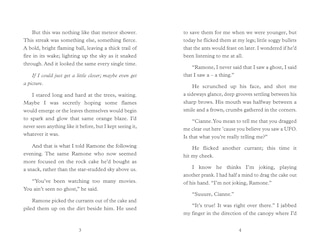 Sample content 2_Big Cat Read On – Fire and Salt