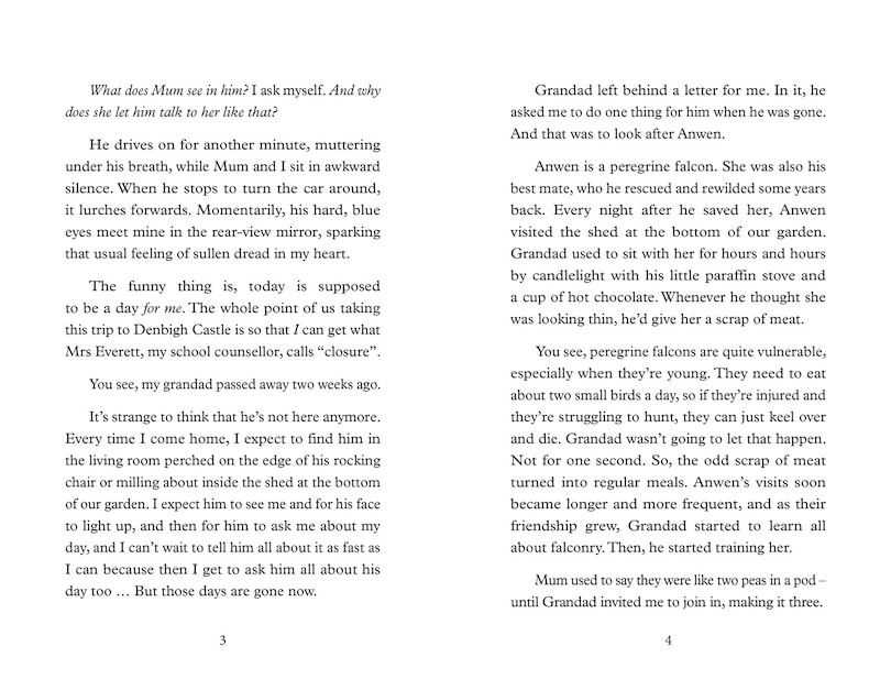 Sample content 2_Big Cat Read On – Saving Anwen