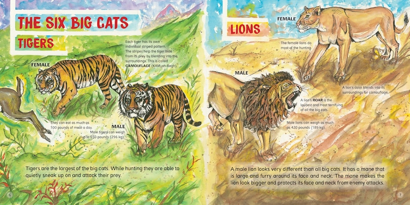 Sample content 2_Big Cats!