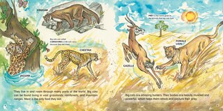 Sample content 3_Big Cats!