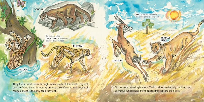 Sample content 3_Big Cats!
