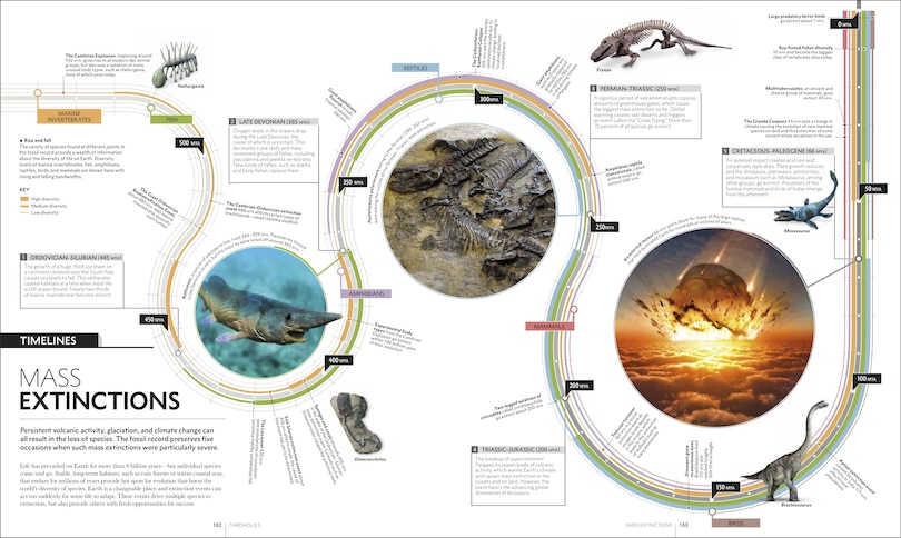 Sample content 2_Big History