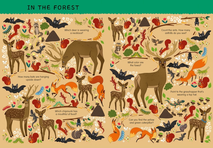 Sample content_Big Look & Find: The World Around Me