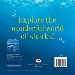 Back cover_Big Sharks, Small World